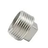 Os encaixes de tubulação parafusados de aço inoxidável rosquearam a tomada quadrada da cabeça dos encaixes de tubulação, 150PSI, SS304 SS316