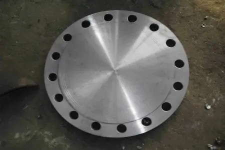 Excelentes flanges de aço de liga de vedação A182 F304/304L F316/316L B16.5 Flange de aço forjado para vários ambientes industriais