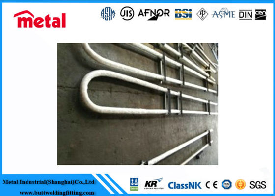 ASTM/ASME A/SA789 UNS 32205 U Tube Duplex Stainless Steel U-bent Tubes
