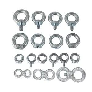 O hardware de equipamento 64mm 7/8" Din582 forjou a porca de levantamento do olho