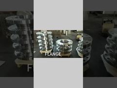 Assista: Vitrine de flange de liga de níquel com pescoço de soldagem Rf forjado ASTM A182 F904l