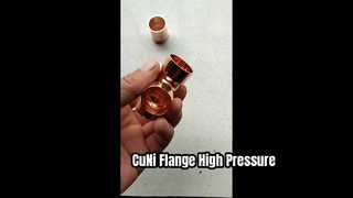 Pescoço de solda de flange CuNi 90/10 EEMUA 145