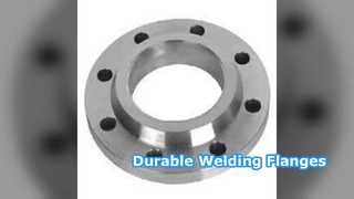 Flanges de pescoço de soldagem SS304 SS316 PN6