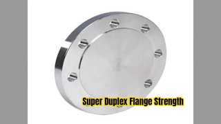 Flange cego superduplex ASTM A182 F55